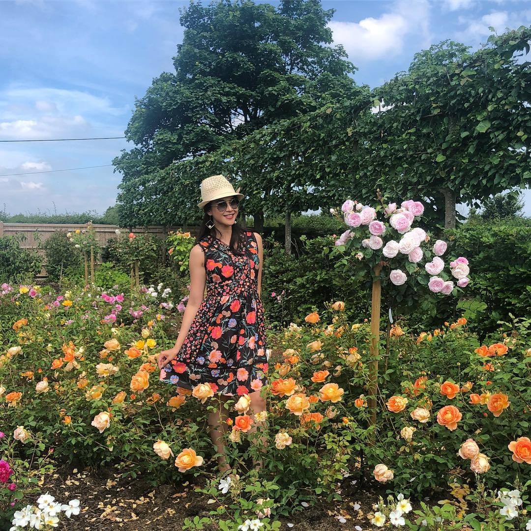 á hậu thái lan và Chủ tịch Leicester City ảnh 7 a hau thai lan va Chu tich Leicester City anh 7