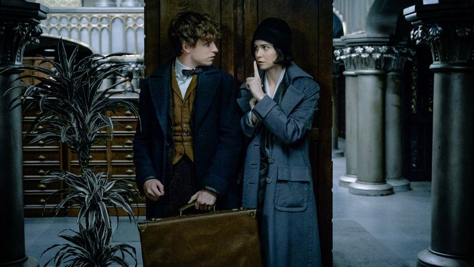 fantastic beasts eddie redmayne ảnh 1 fantastic beasts eddie redmayne anh 1