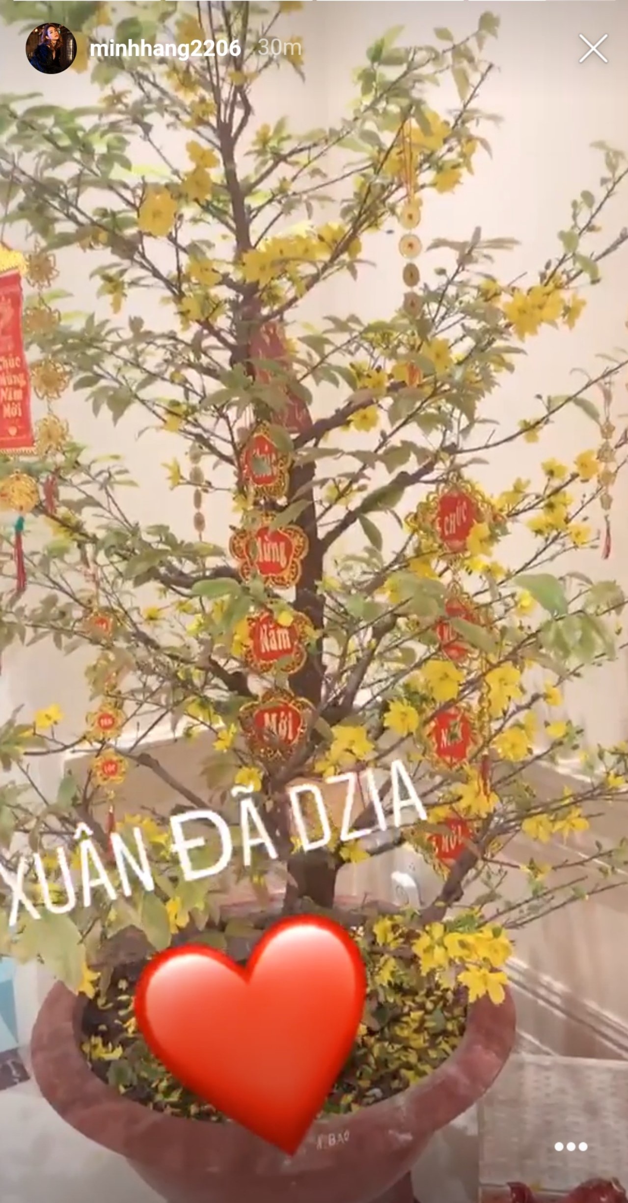 sao viet an tet anh 9