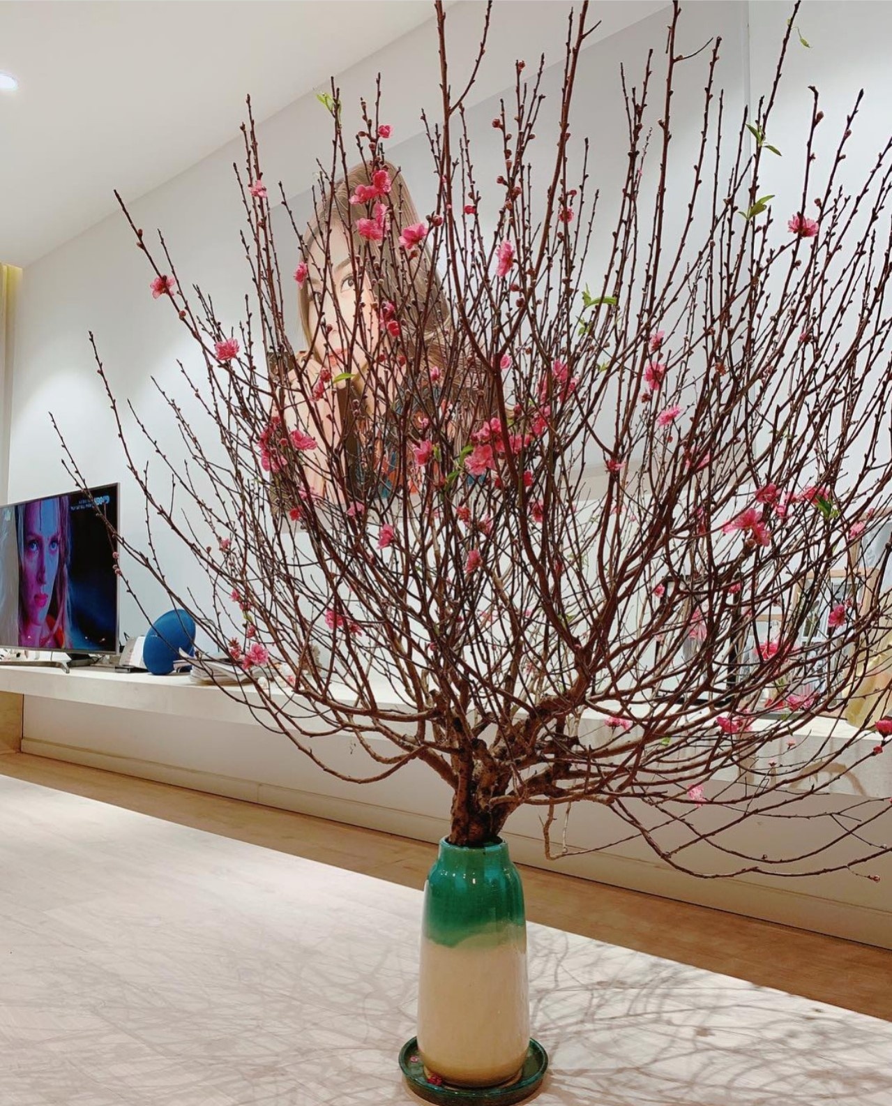 sao viet an tet anh 7