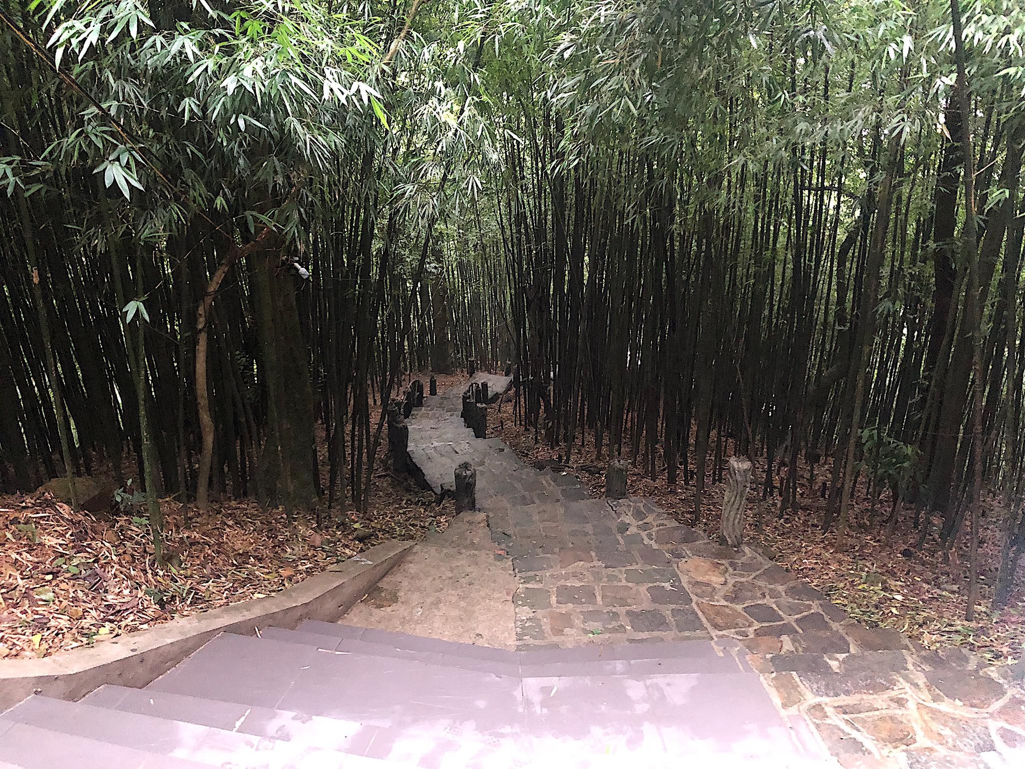 sao viet nau banh chung tet anh 2