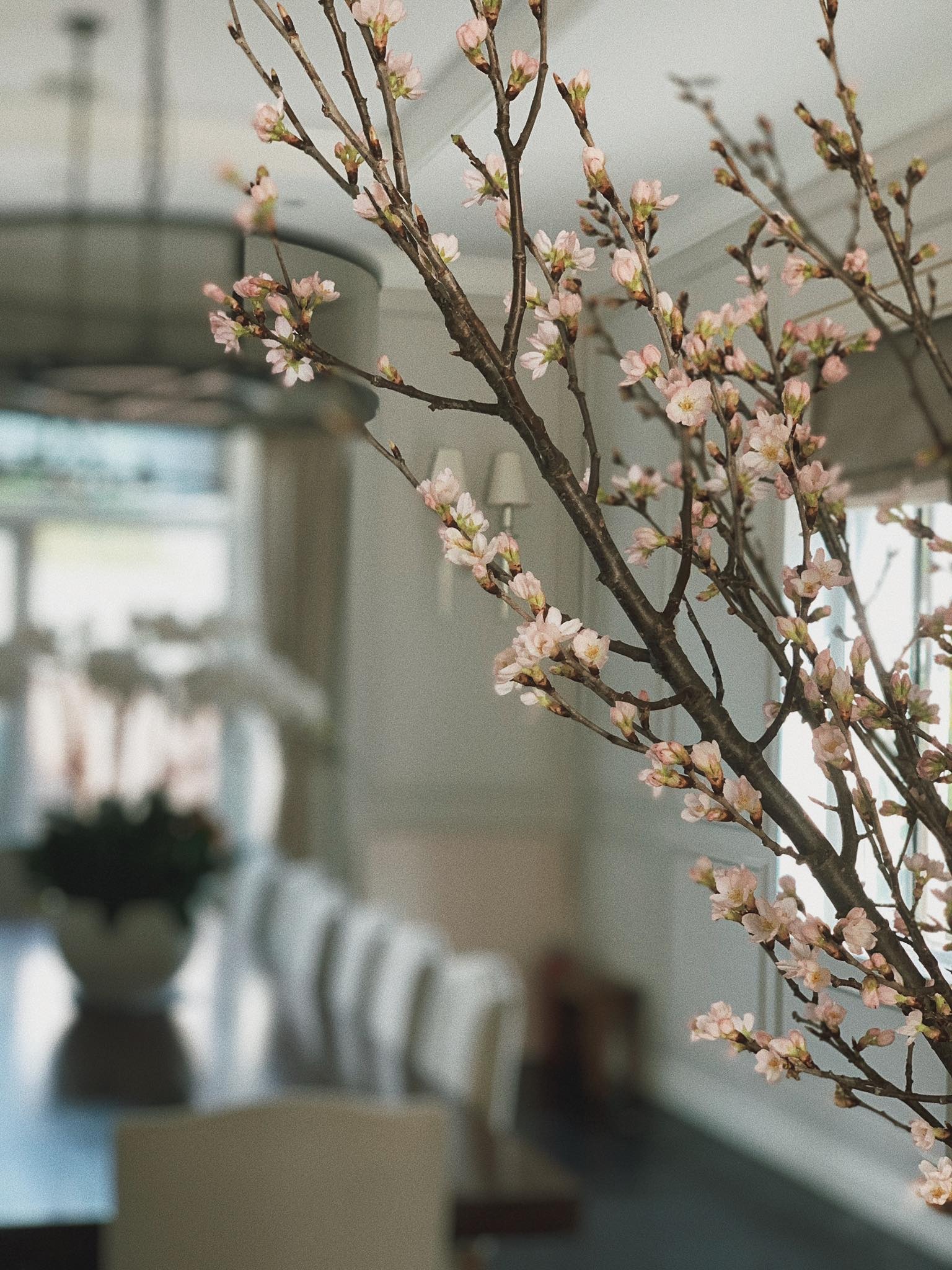 tang thanh ha khoe nha trieu usd anh 2