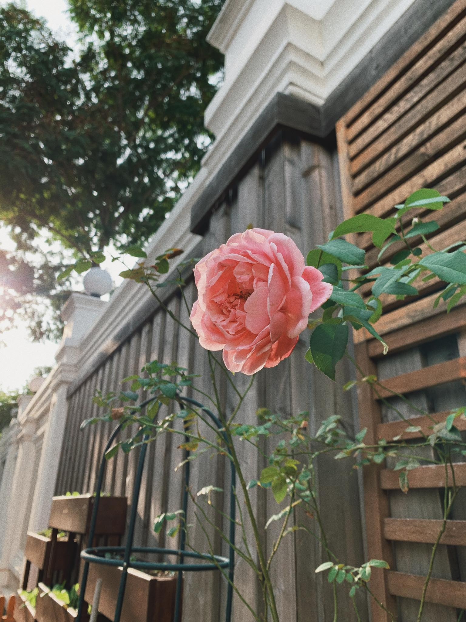 tang thanh ha khoe nha trieu usd anh 5