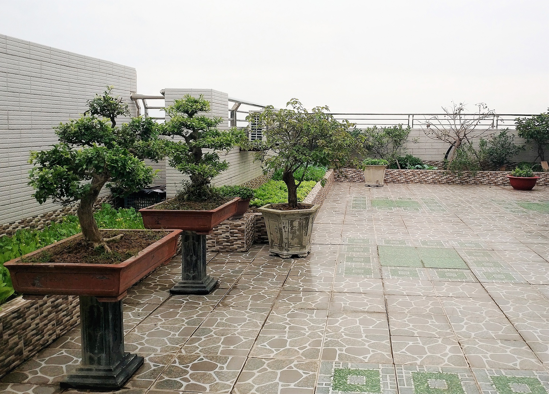 huong tram an tet penthouse anh 4