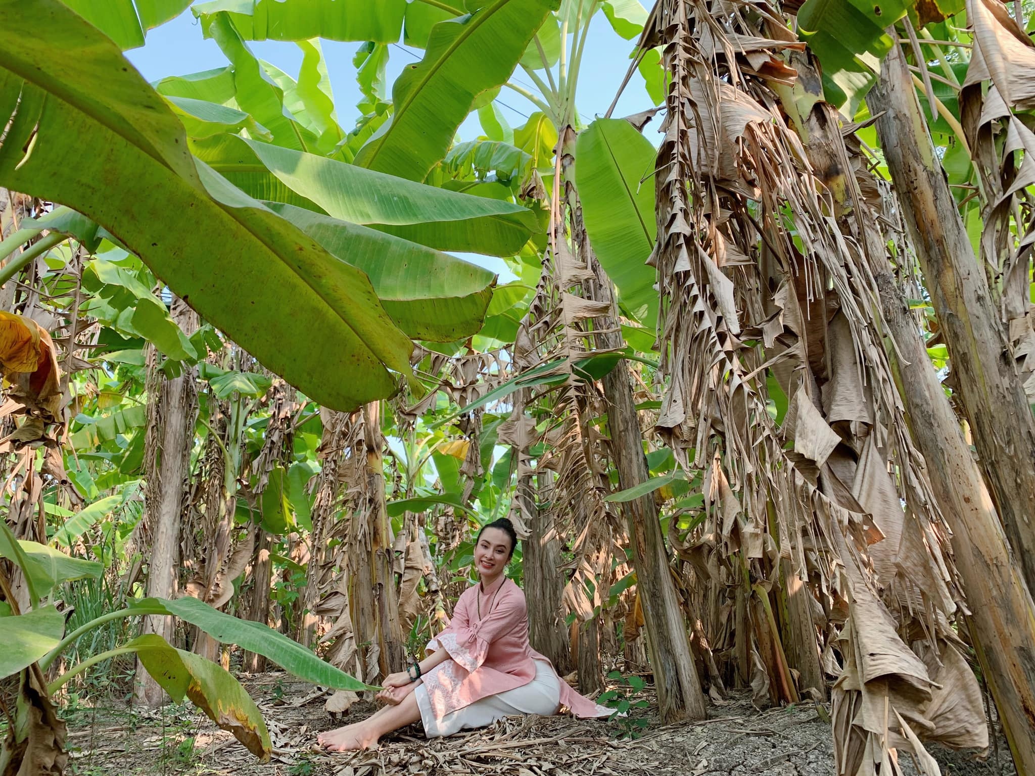 son tung mtp don tet anh 5