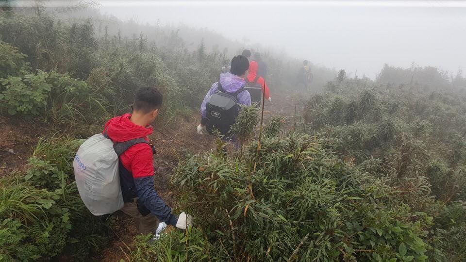 Aiden Webb ảnh 2 Aiden Webb anh 2