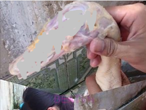 Tranh cai viec con gai vung ve khi vao bep nha nguoi yeu hinh anh