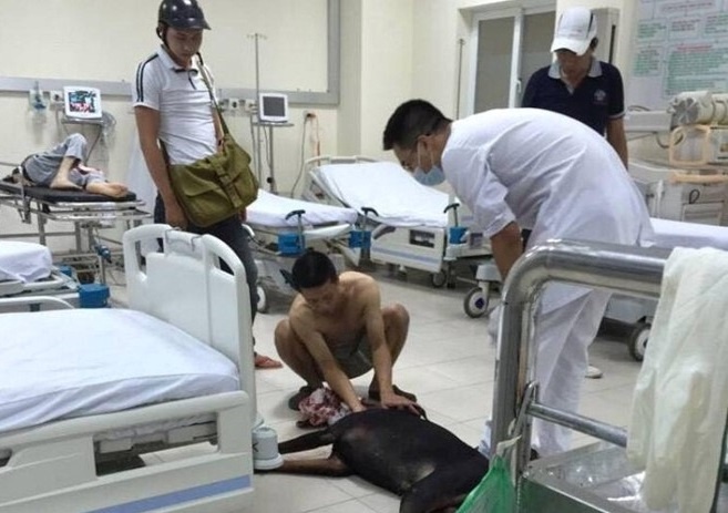 Chang trai de ban gai giua duong, cho cho bi thuong di vien hinh anh