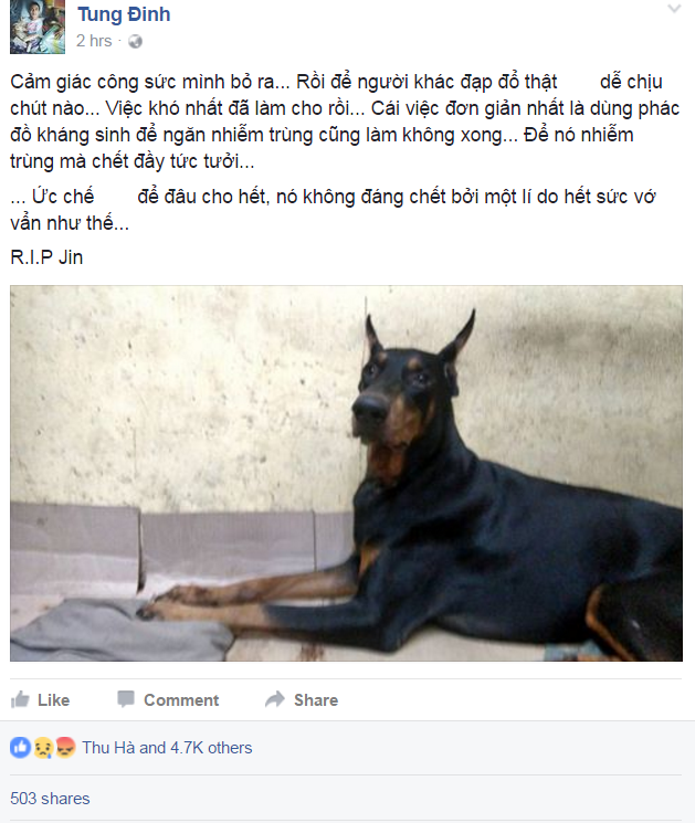 cho Doberman anh 1