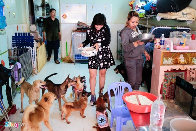 giải cứu chó ảnh 3 giai cuu cho anh 3