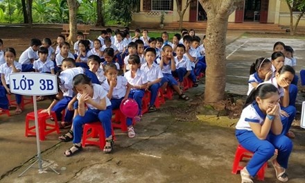 học cạnh chuồng lợn ảnh 1 hoc canh chuong lon anh 1