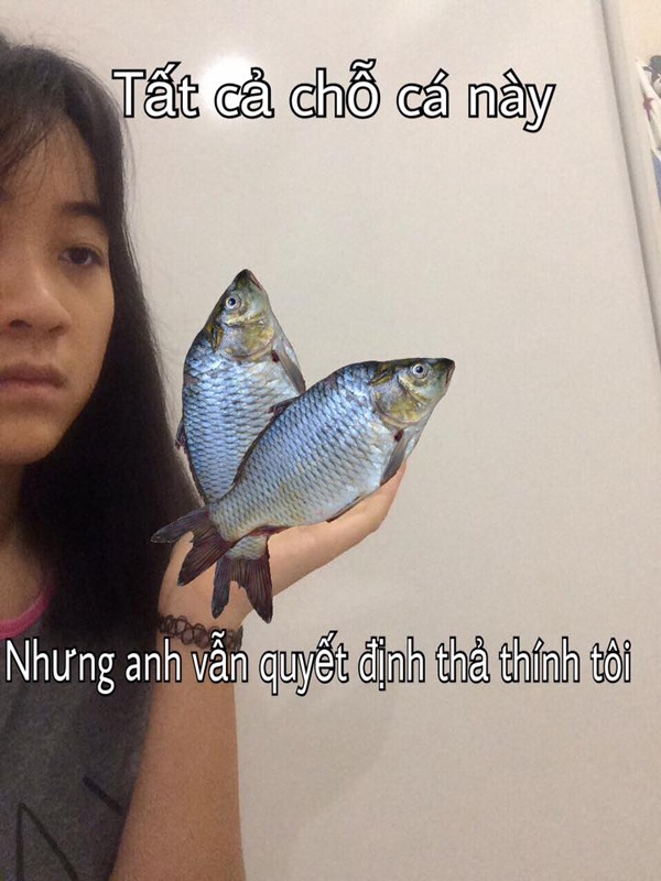 Tat ca va em anh 8
