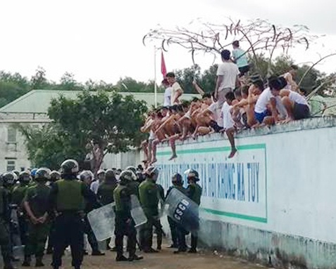 Cha me hot hai den trai cai nghien tim con sau vu dap pha hinh anh