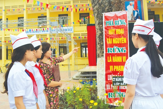Bảo vệ rừng ảnh 1 Bao ve rung anh 1