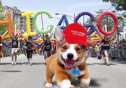 Chu cho vui ve tro thanh hien tuong anh che moi hinh anh