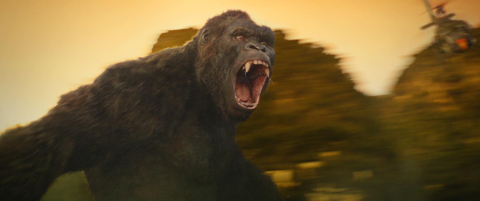 Kong: Skull Island ảnh 1 Kong: Skull Island anh 1