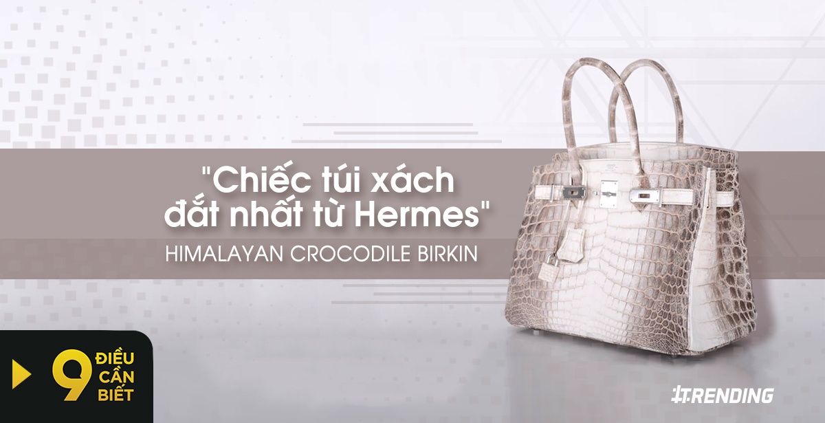 9 dieu can biet ve tui Hermes Birkin bi nhai nhieu nhat the gioi hinh anh