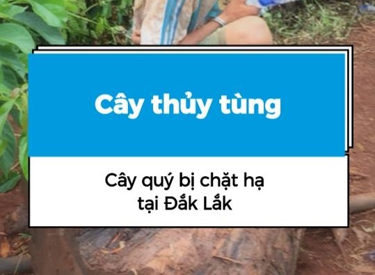 Trending 16/10 hinh anh