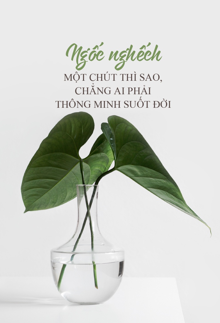 Ngoc nghech mot chut thi sao, chang ai phai thong minh suot doi hinh anh