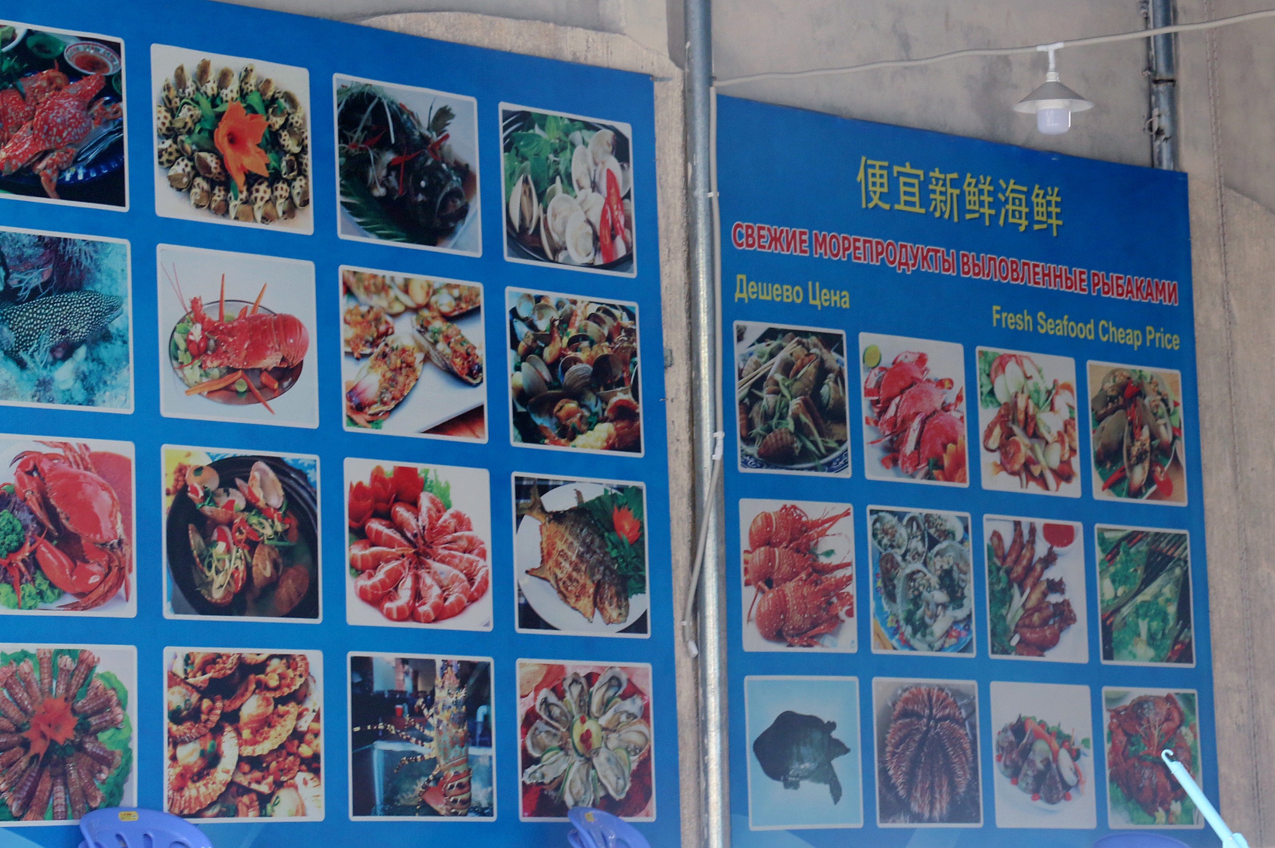 Biển hiệu tiếng nước ngoài ở Nha Trang ảnh 3 Bien hieu tieng nuoc ngoai o Nha Trang anh 3