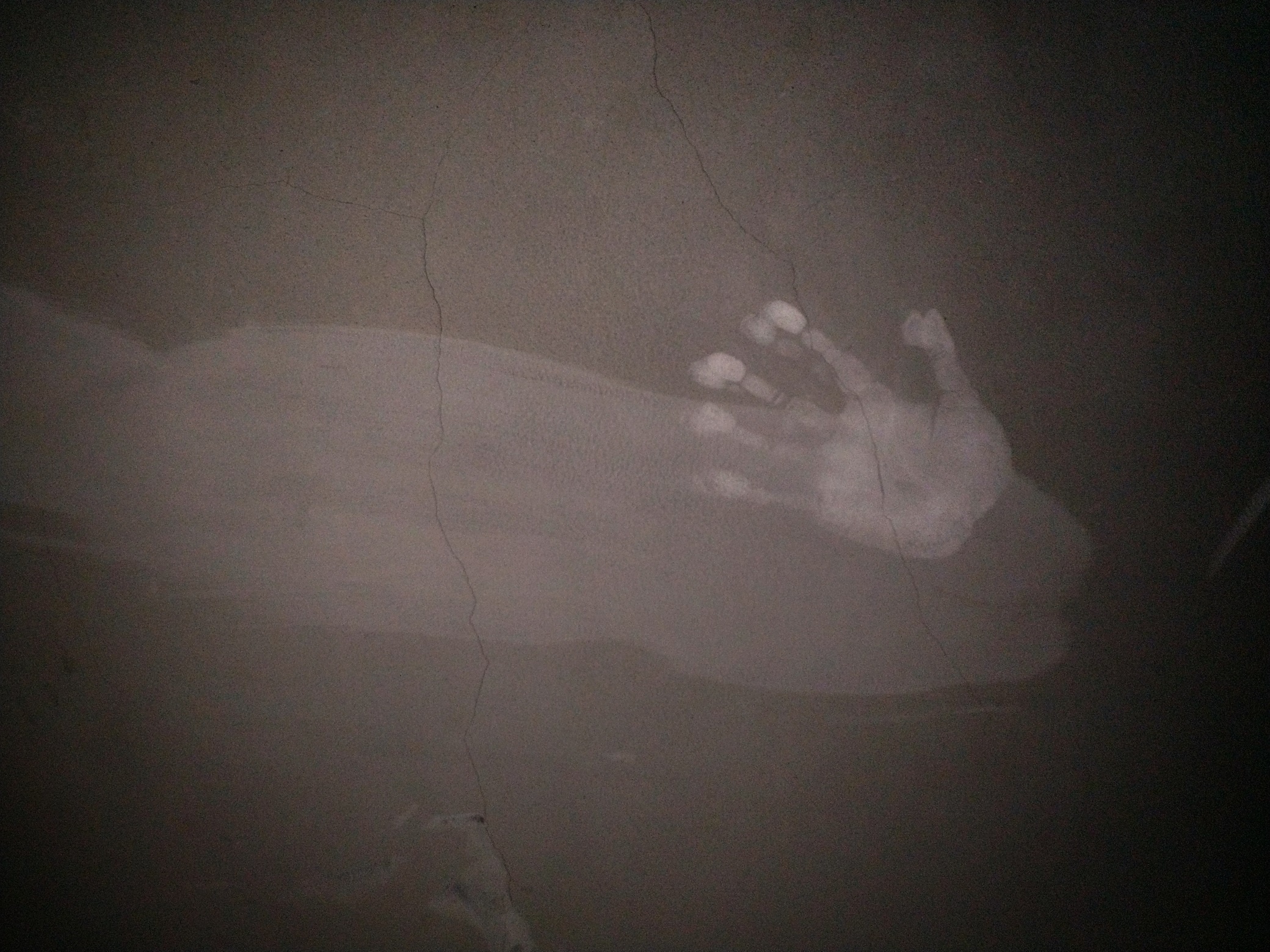 Nhung dau ban tay am anh o chung cu Carina 20 ngay sau tham hoa hinh anh