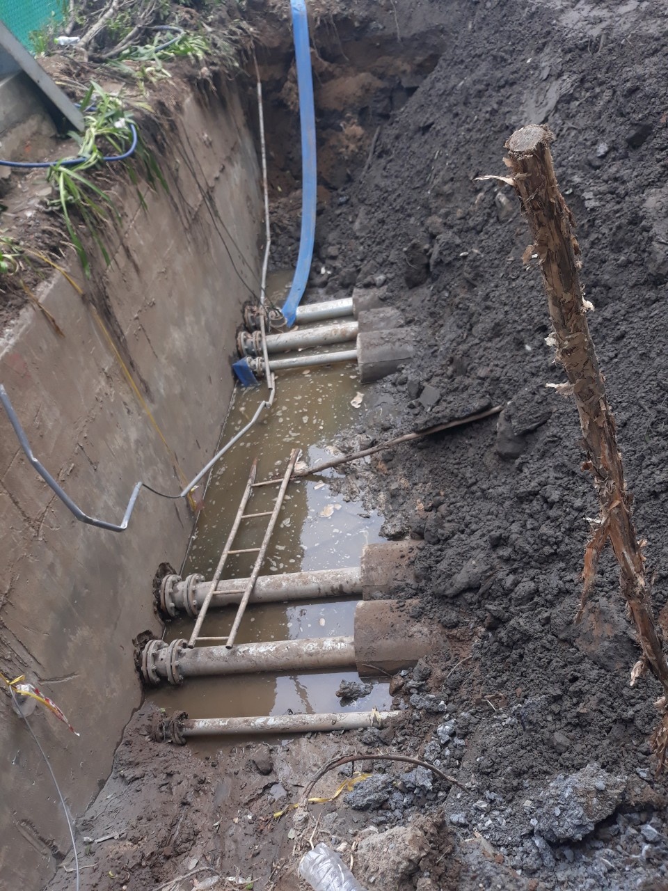 Carina ảnh 9 Carina anh 9