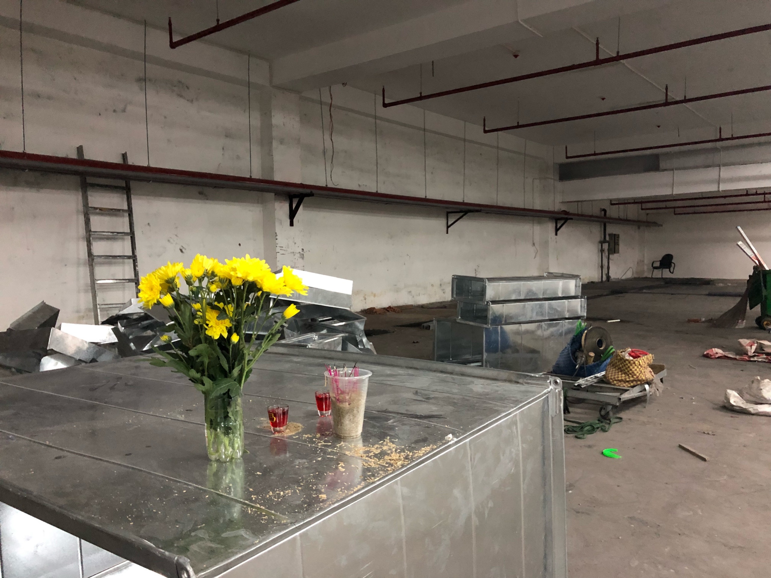 Carina ảnh 10 Carina anh 10