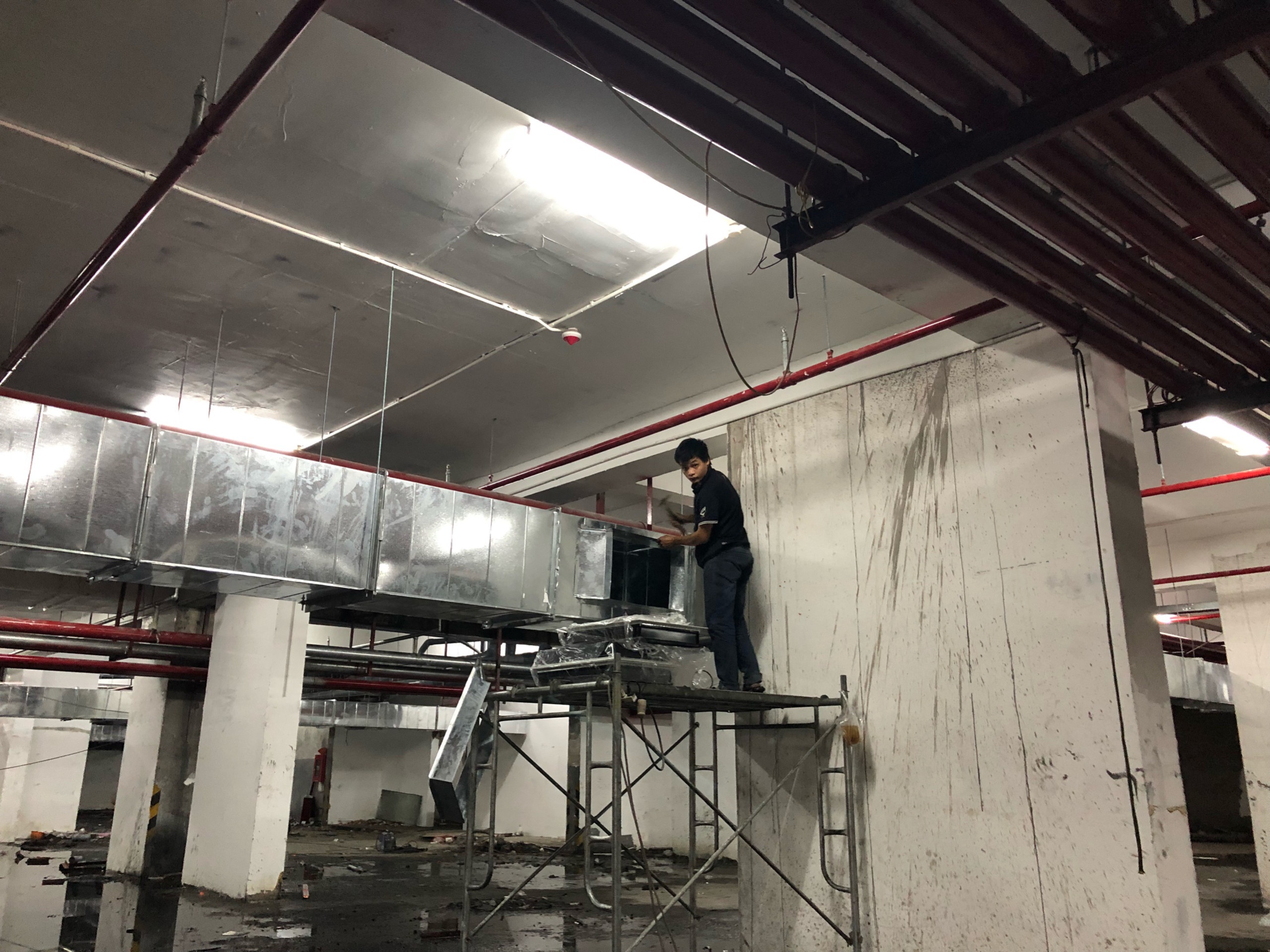 Carina ảnh 4 Carina anh 4