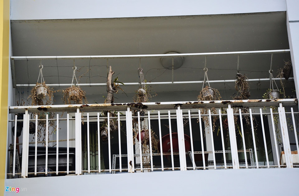 Chung cu Carina dang sua chua sau 5 thang cua dam chay hinh anh