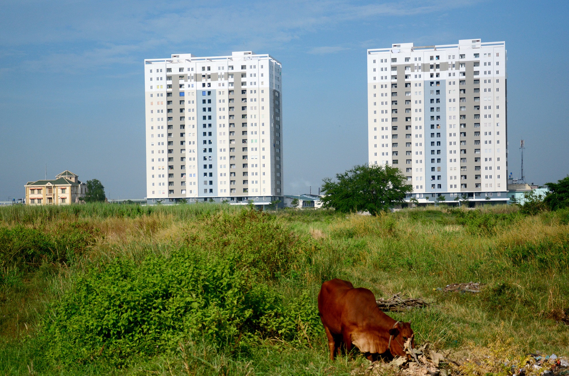 Metro Ben Thanh - Tham Luong anh 1