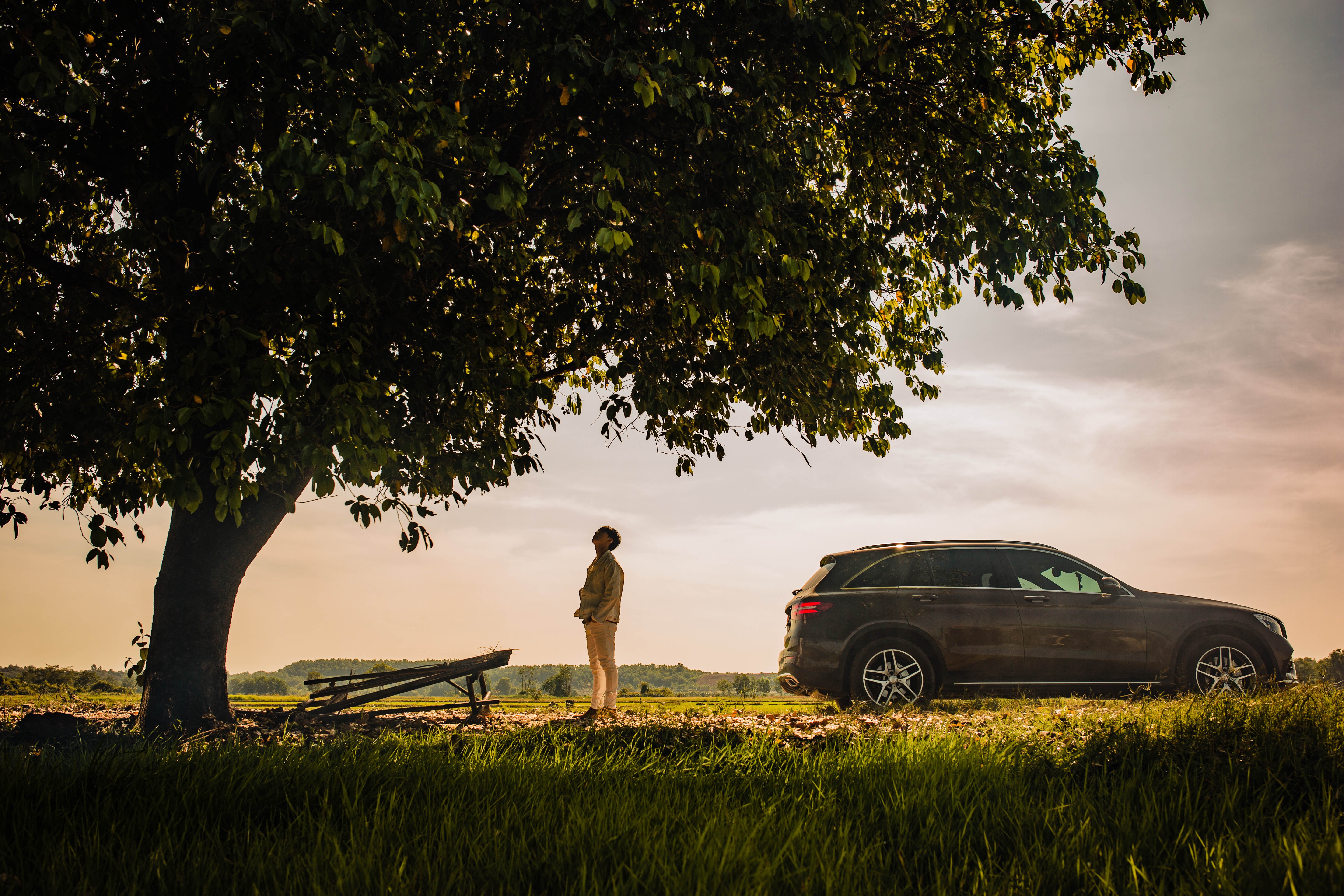 Ve nha don Tet anh 2