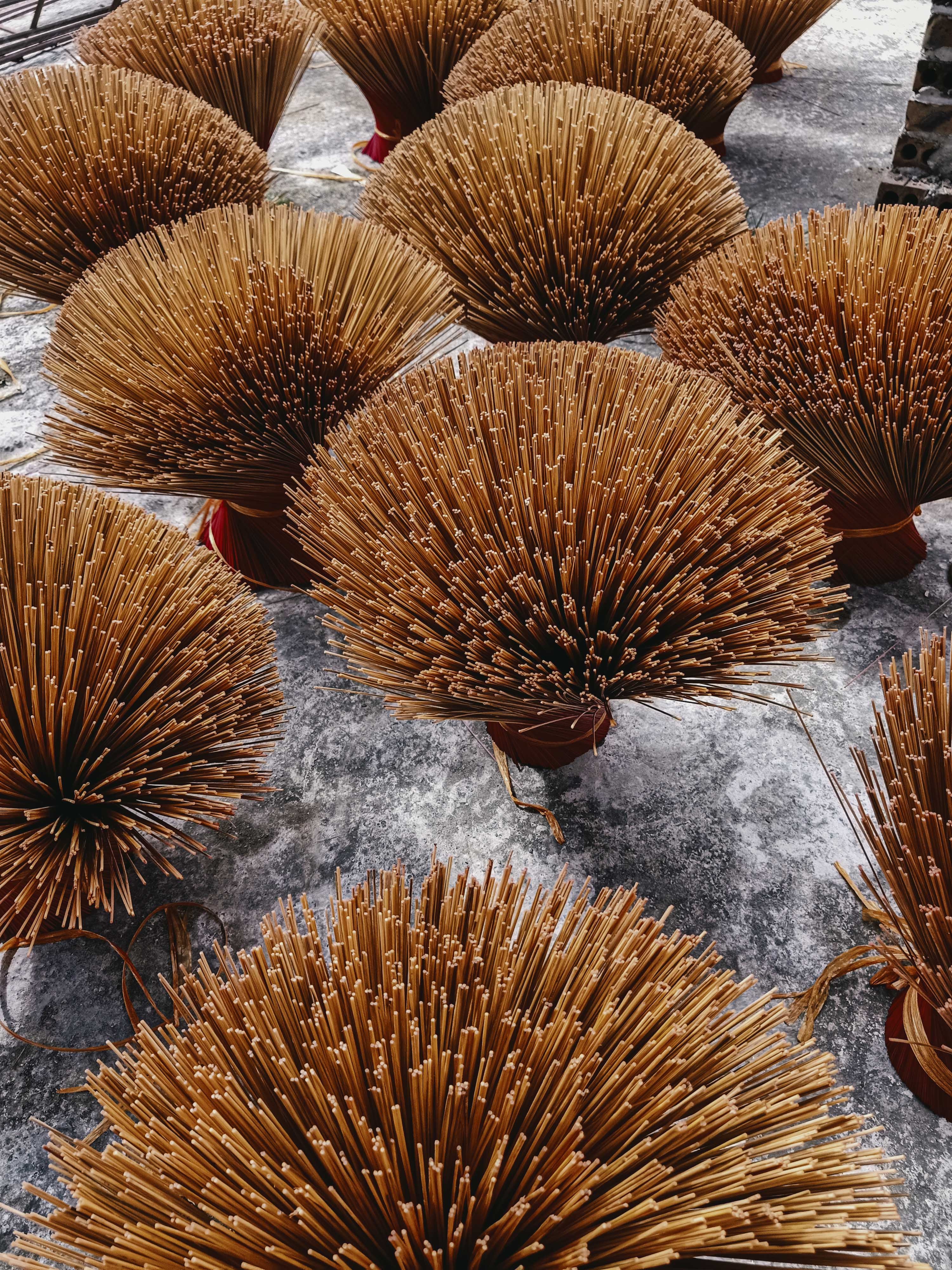 Ve nha don Tet anh 18