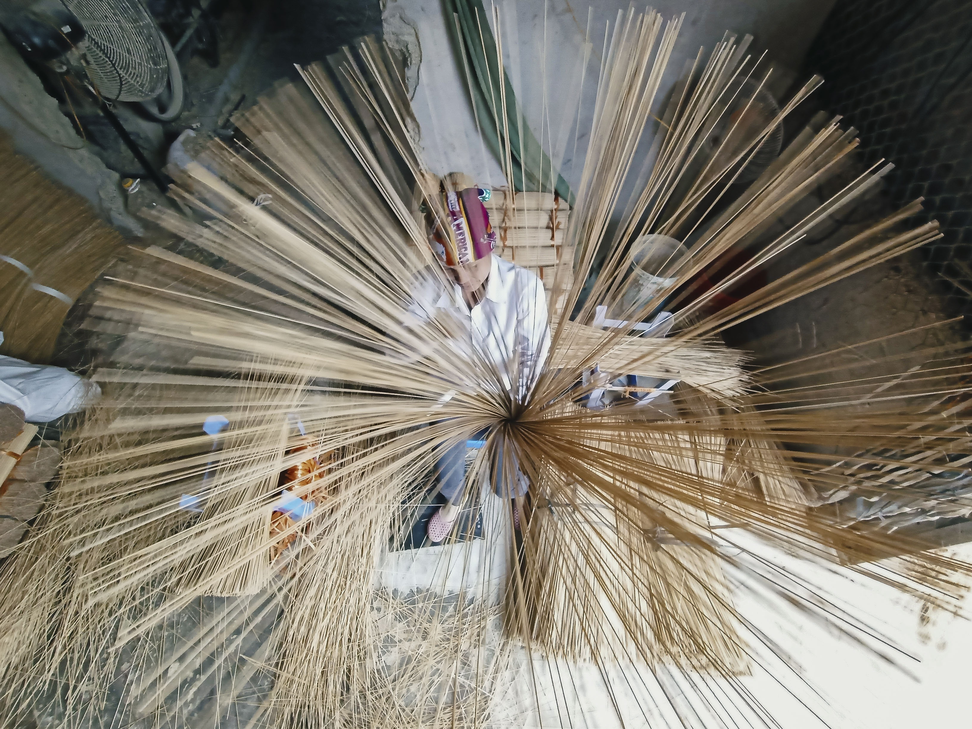 Về nhà đón Tết ảnh 17 Ve nha don Tet anh 17