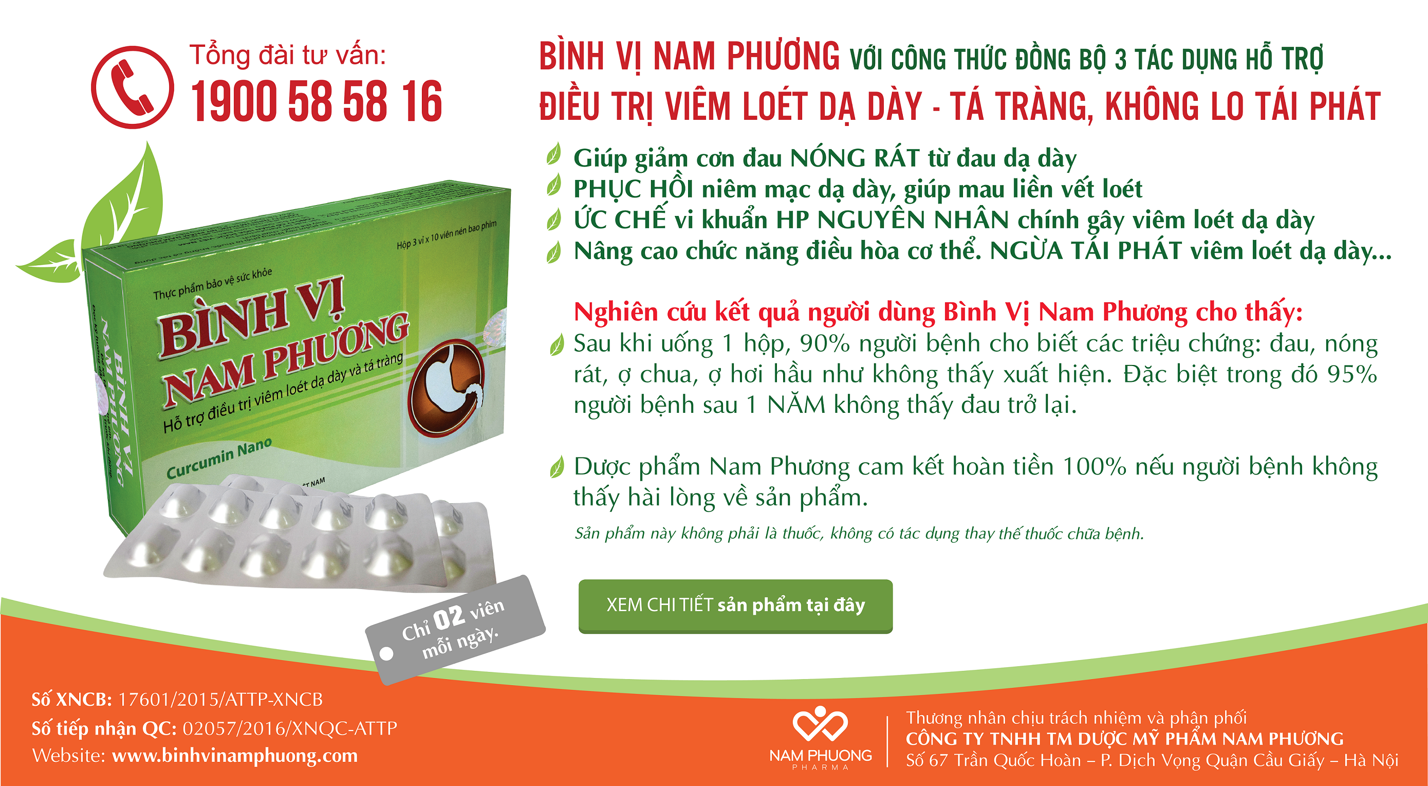 Binh vi nam phuong anh 2