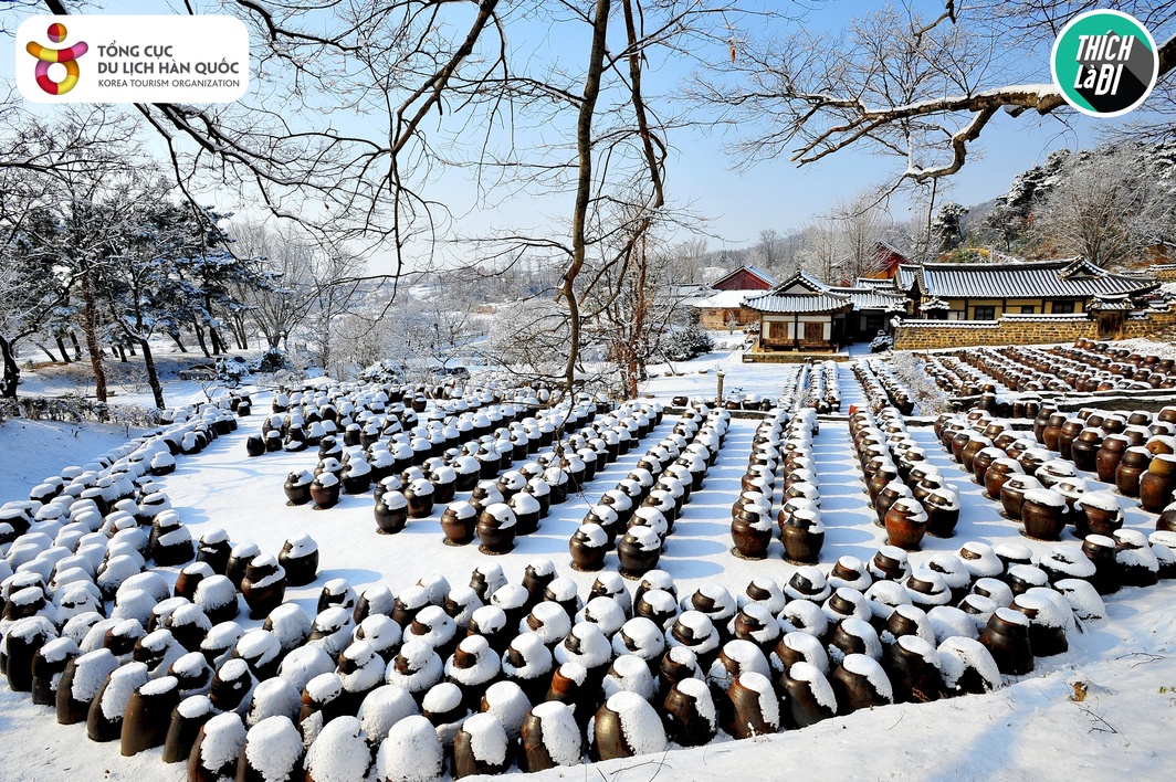 Diep Lam Anh,  Thich la di anh 1