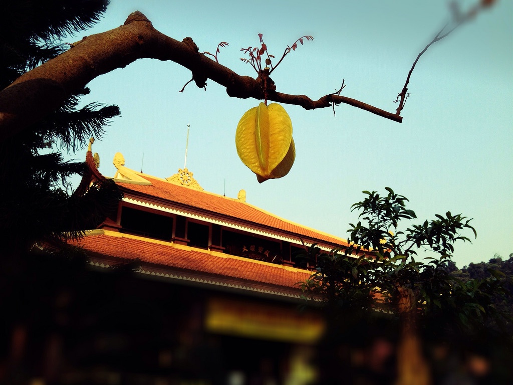 mytour.vn ảnh 2 mytour.vn anh 2