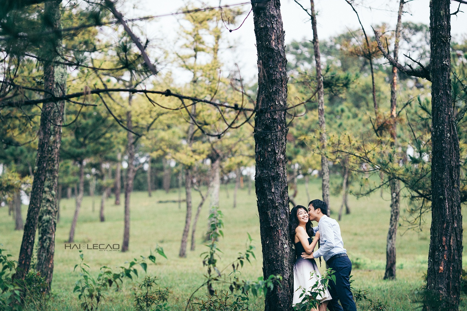 Biti's Di va Yeu anh 8