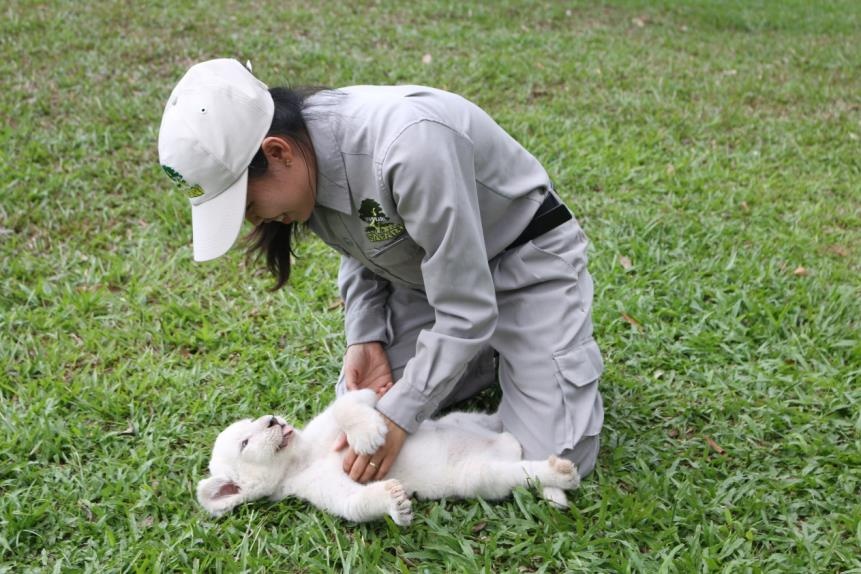 Safari Phú Quốc ảnh 1 Safari Phu Quoc anh 1