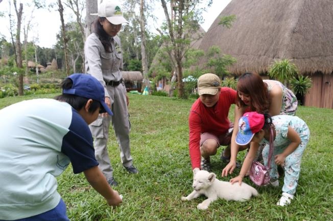 Safari Phú Quốc ảnh 3 Safari Phu Quoc anh 3