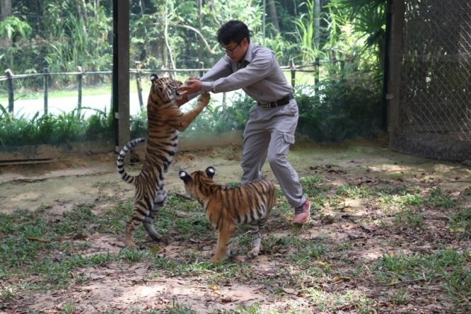 Safari Phú Quốc ảnh 5 Safari Phu Quoc anh 5