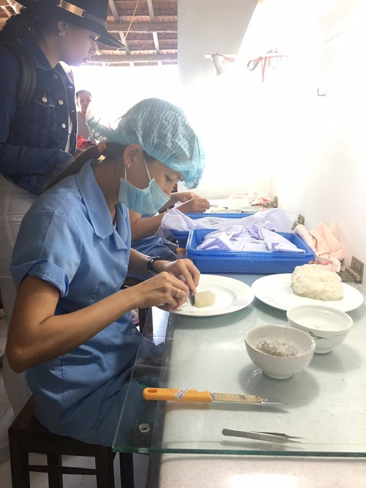 Yen sao Tan Khanh anh 3