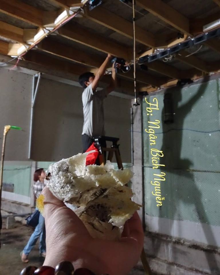 Yen sao Tan Khanh anh 4