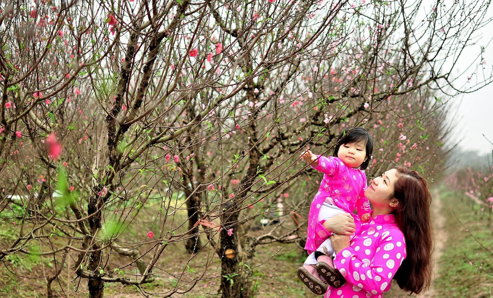 Tết với con gái ảnh 1 Tet voi con gai anh 1