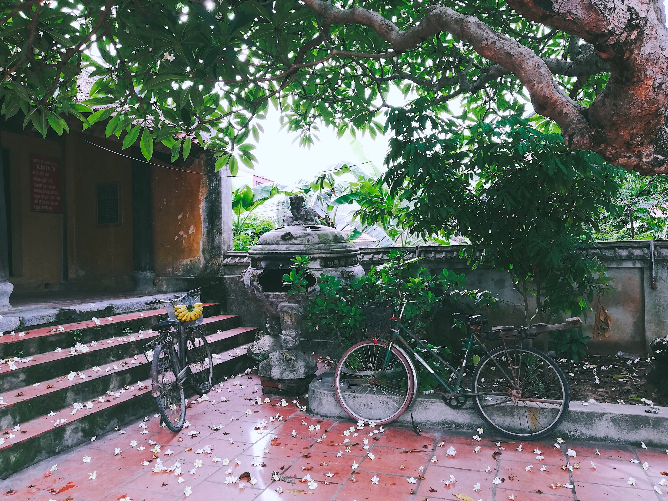 Huawei Nova 3e anh 3