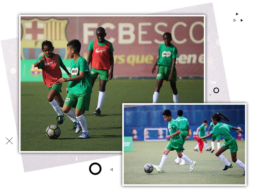 Milo ảnh 8 Milo anh 8