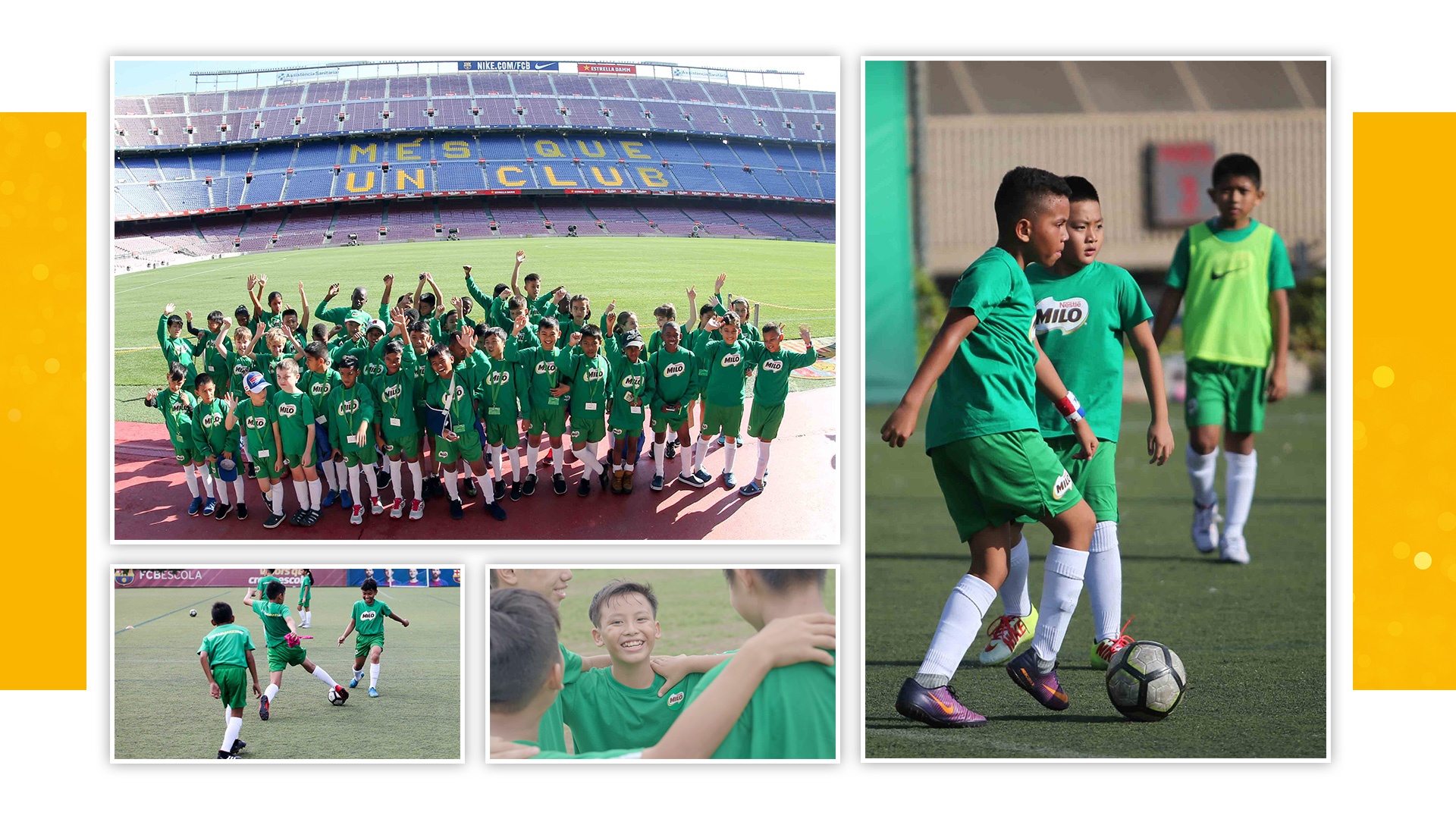 Milo ảnh 9 Milo anh 9