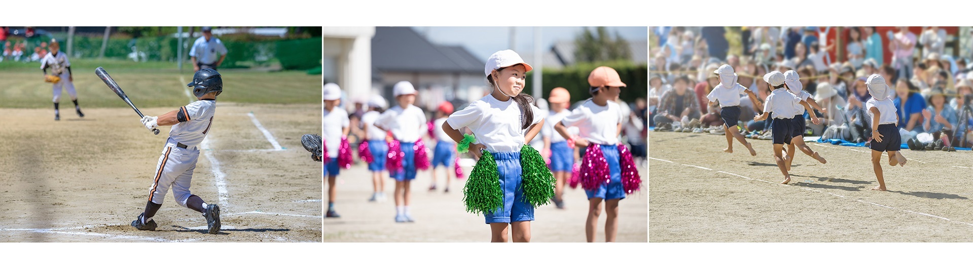 Milo ảnh 5 Milo anh 5