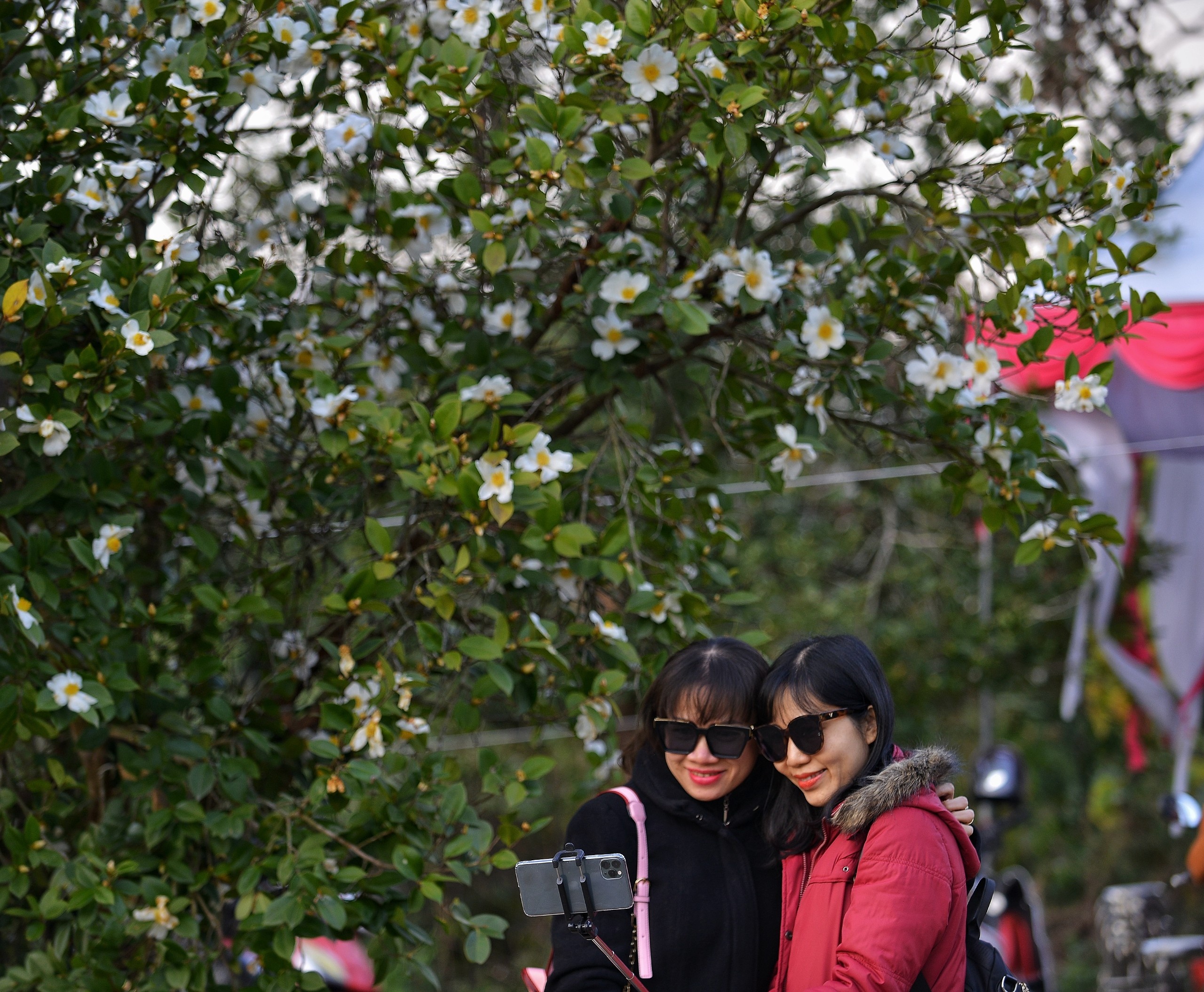 du lich Quang Ninh anh 4