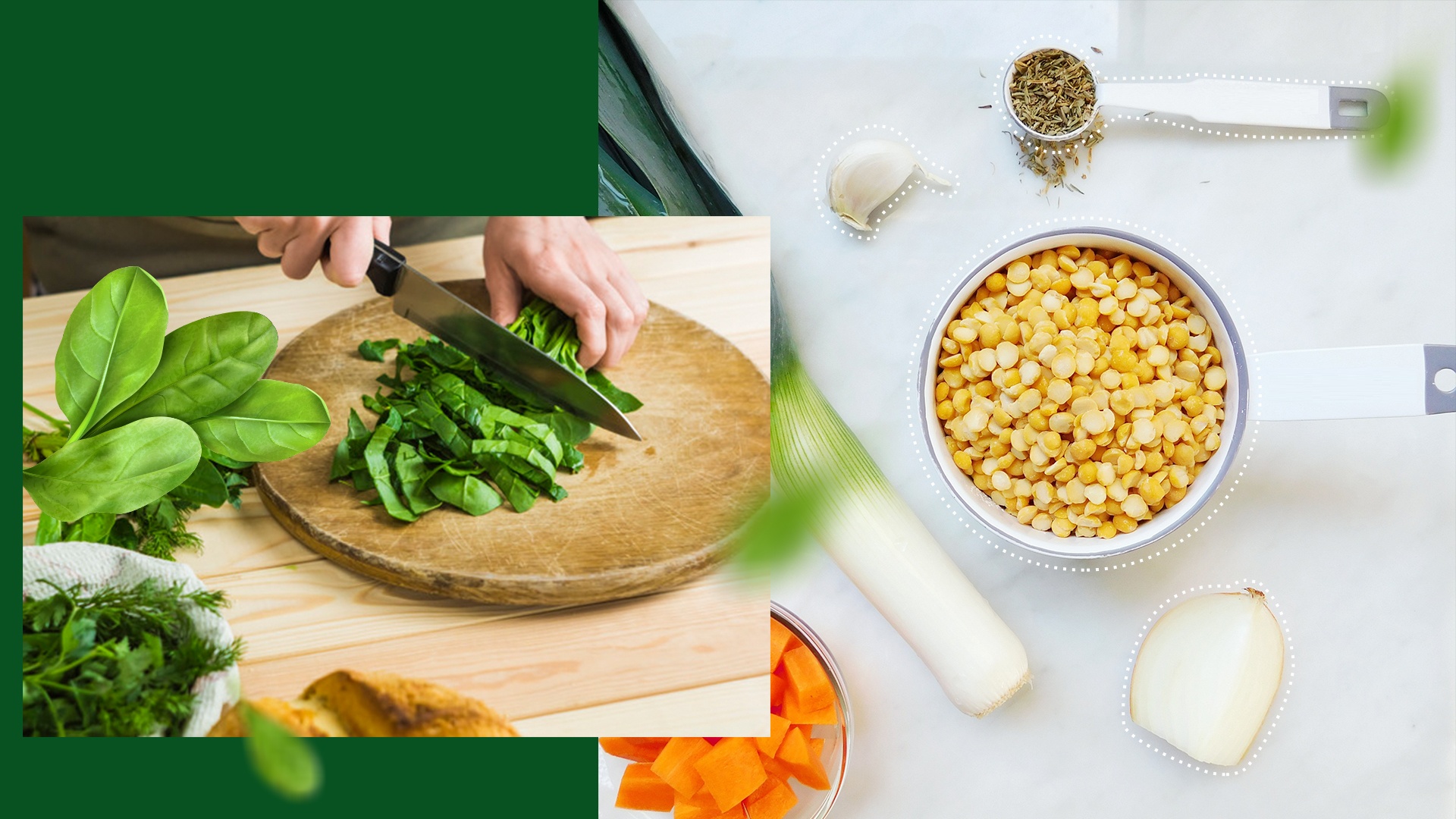 Knorr ảnh 4 Knorr anh 4