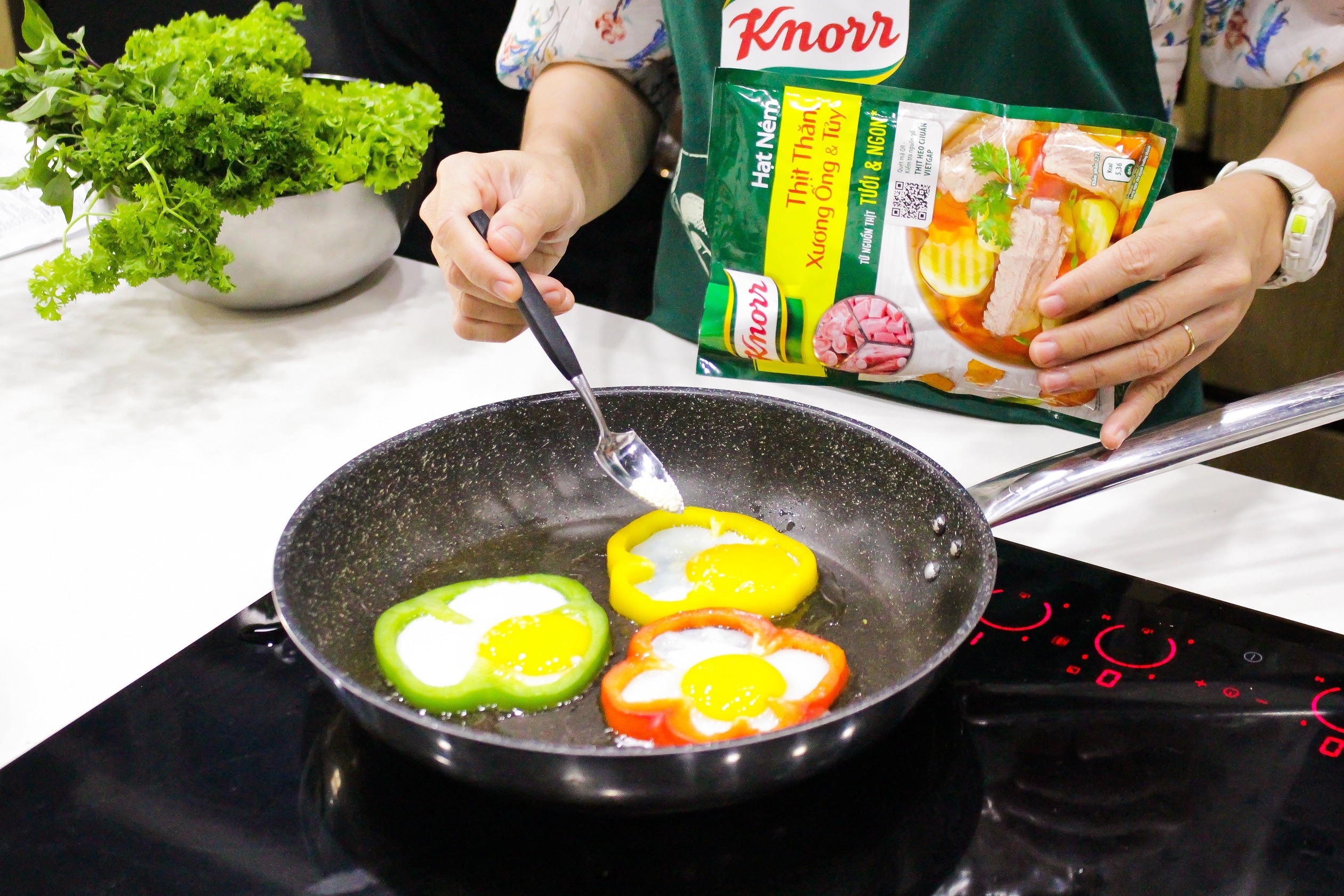 Knorr anh 5